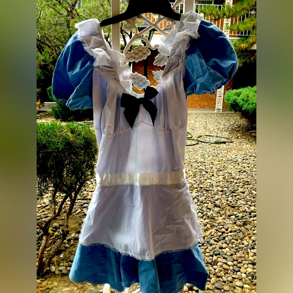 Alice in Wonderland Cosplay Dress